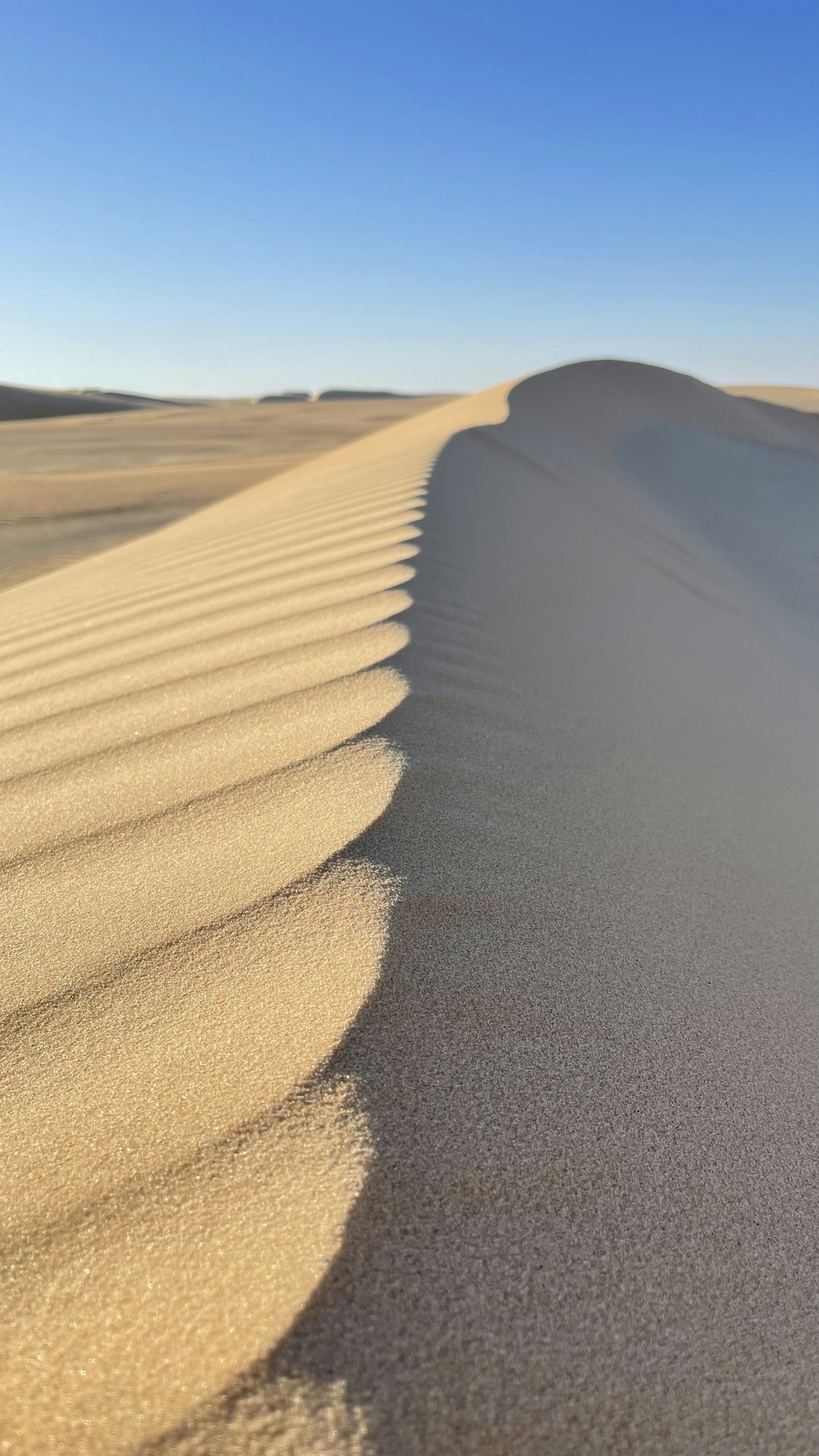 Desert landscape (representative image)