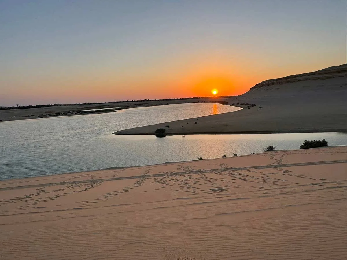 Sand dunes in the Egyptian desert, representative image