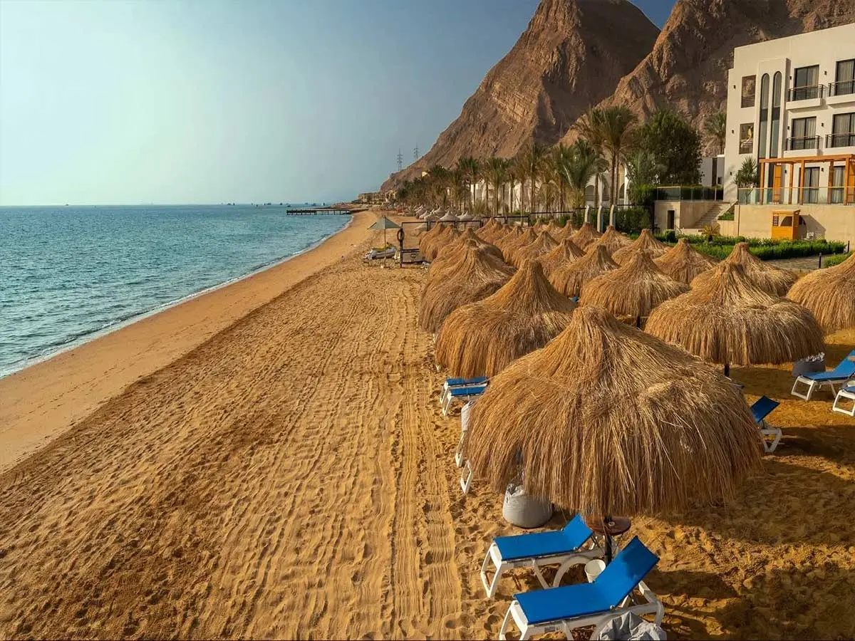 Red Sea water and coral, representative image